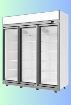 Vertical Freezer
